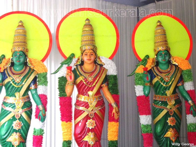 thrissur-pooram-2011- (31)